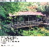 դ涶