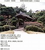 դ޻綶